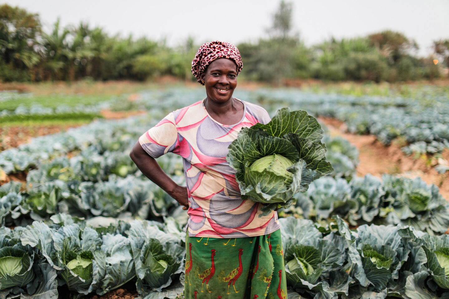 L’association humanitaire CARE soutient le développement économique en Côte d’Ivoire