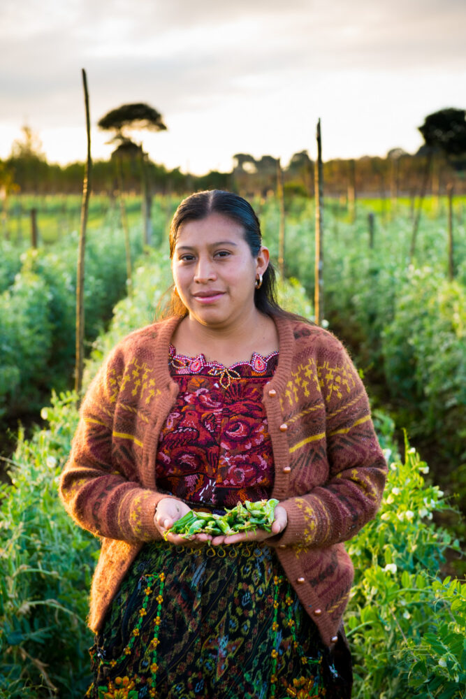 L’ONG CARE soutient l’agriculture durable au Guatemala