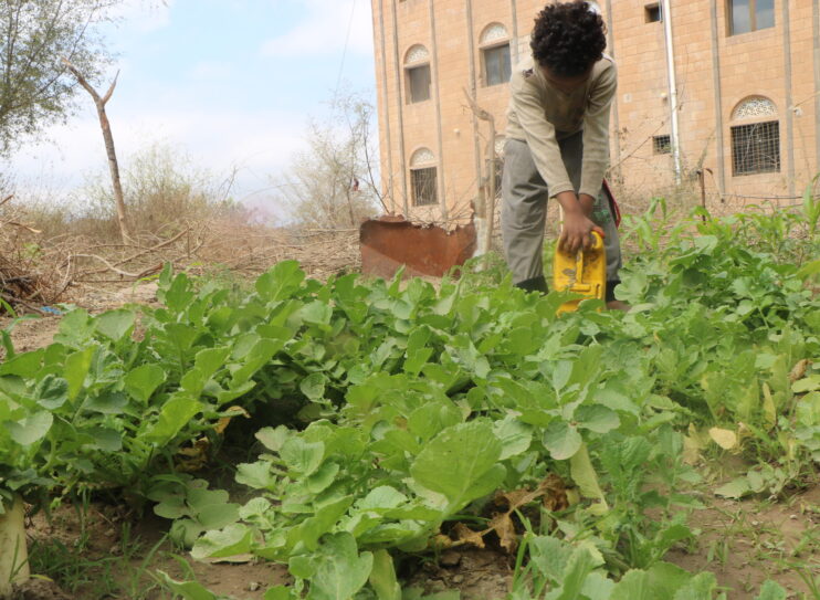 Rawdah est devenue agricultrice pour nourrir sa famille