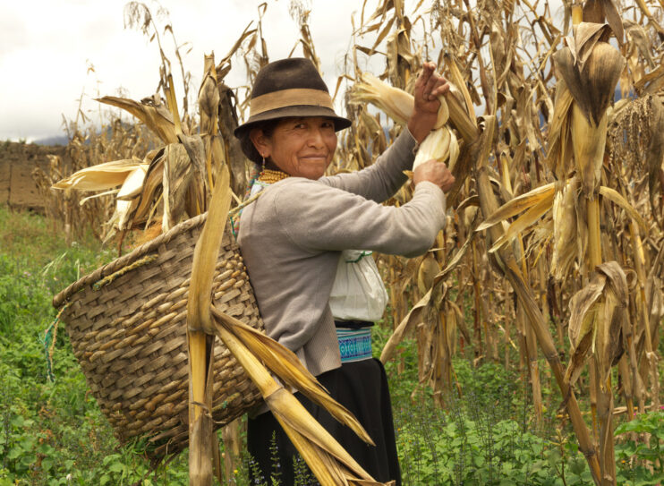 L’association CARE aide les femmes à faire face au changement climatique en Equateur