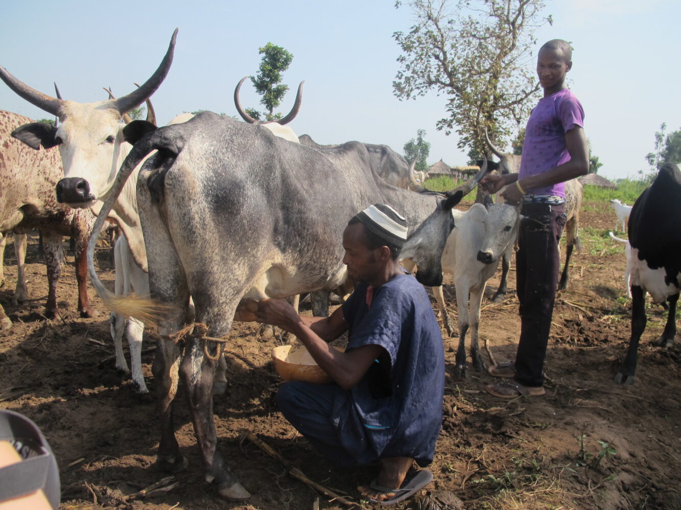 CARE, association humanitaire, aide les populations au Nigeria