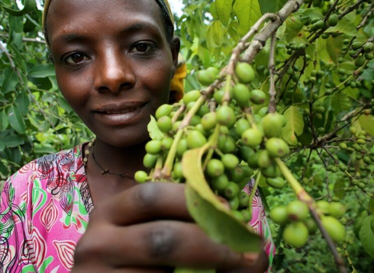 L’ONG CARE soutient les entrepreneuses en Ethiopie