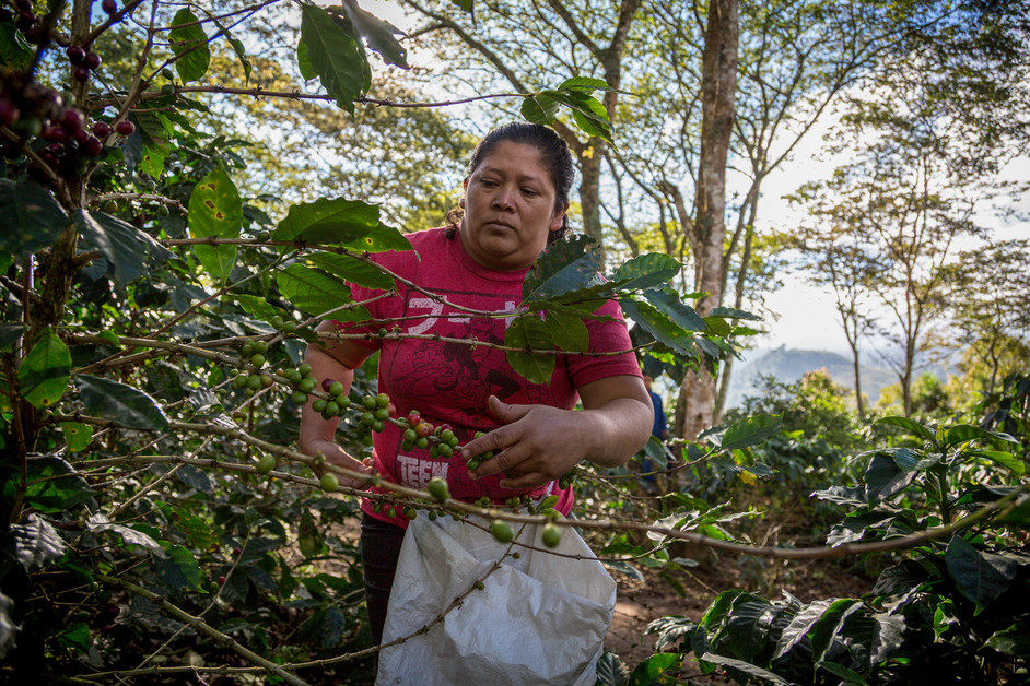 Honduras