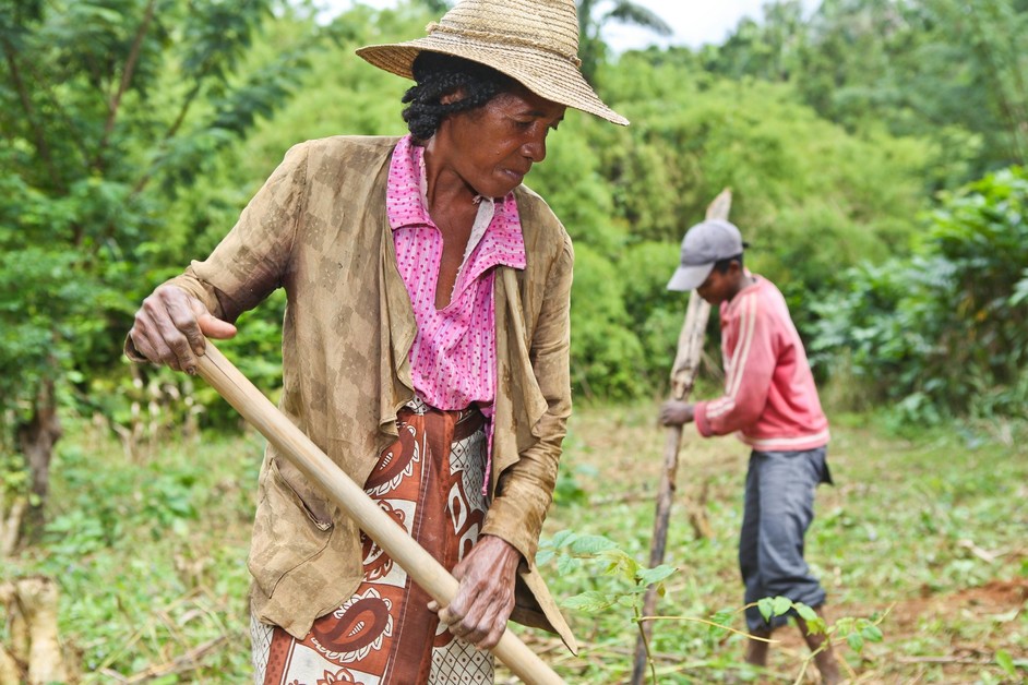 L’association humanitaire CARE aide les populations à Madagascar