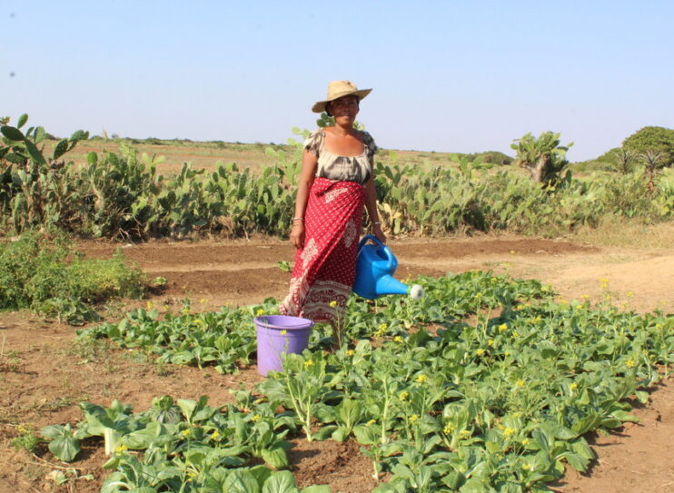 L’association CARE lutte contre le changement climatique à Madagascar