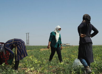 Amal, entrepreneuse en Syrie, combat les discriminations en employant 15 femmes dans son exploitation agricole.