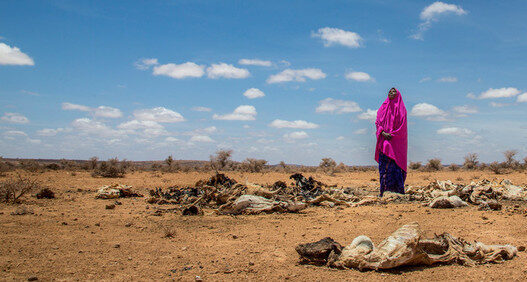 Une femme touchée par la sécheresse en Somalie