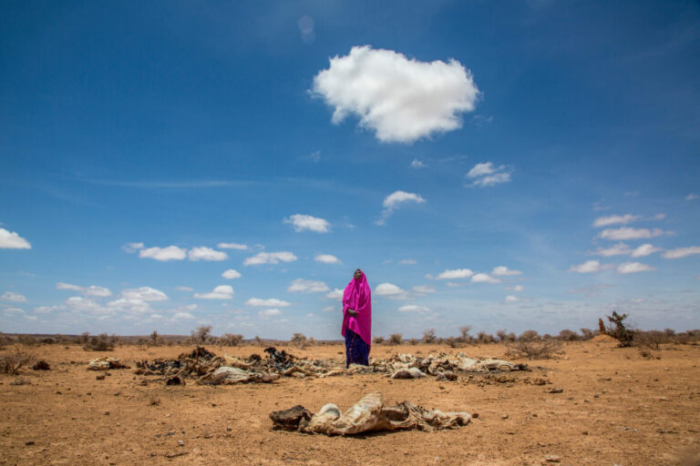 Les conséquences du changement climatique en somalie