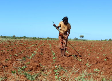 Une femme dans un champ à Madagascar touché par des sécheresses et soutenue par l'ONG CARE