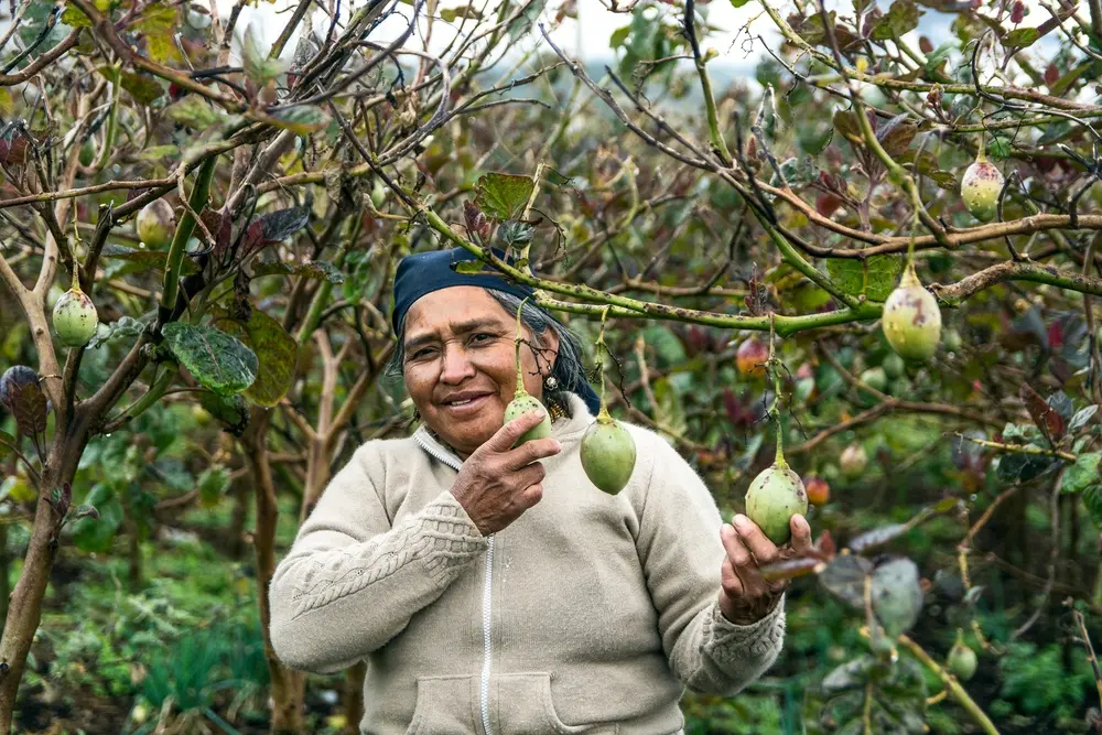 L'ONG CARE soutient les femmes qui luttent contre les conséquences du changement climatique.