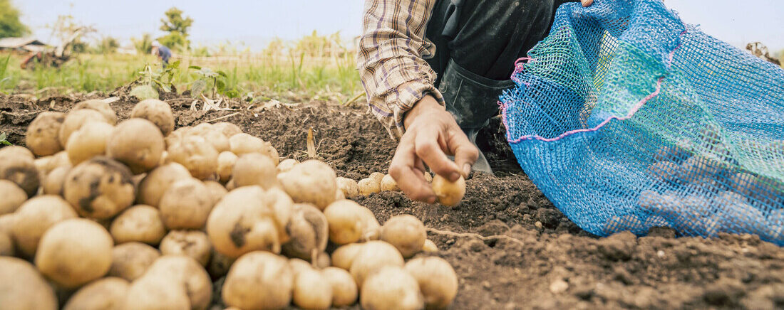 L'ONG CARE se mobilise contre la faim dans le monde.