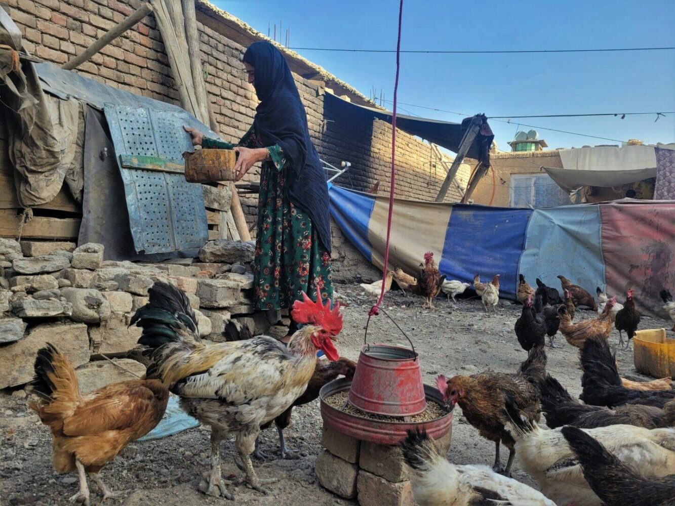 L'ONG CARE soutient les femmes face à la sécheresse en Afghanistan.