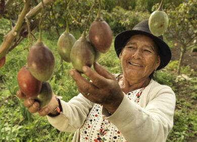 L'ONG CARE lutte contre le changement climatique en soutenant des agricultrices