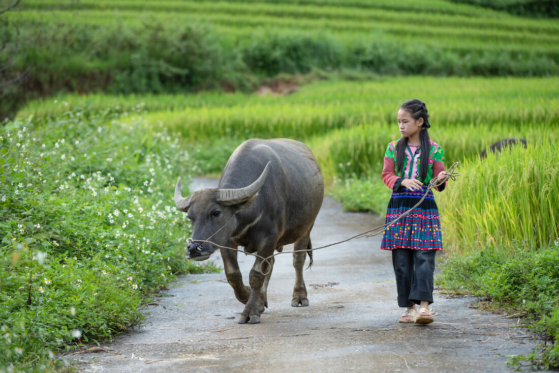 L'ONG CARE lutte contre le changement climatique en soutenant des agricultrices