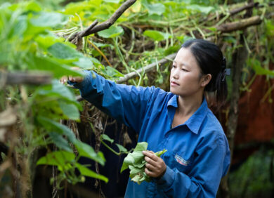 L'ONG CARE lutte contre le changement climatique en soutenant des agricultrices