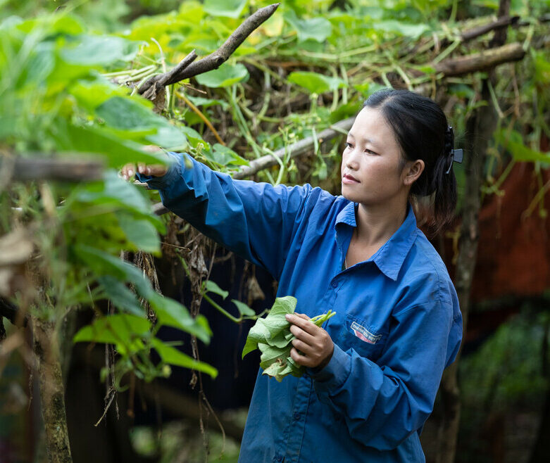 L'ONG CARE lutte contre le changement climatique en soutenant des agricultrices