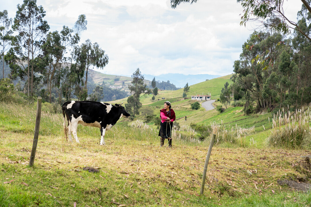 L'ONG CARE lutte contre le changement climatique en soutenant des agricultrices