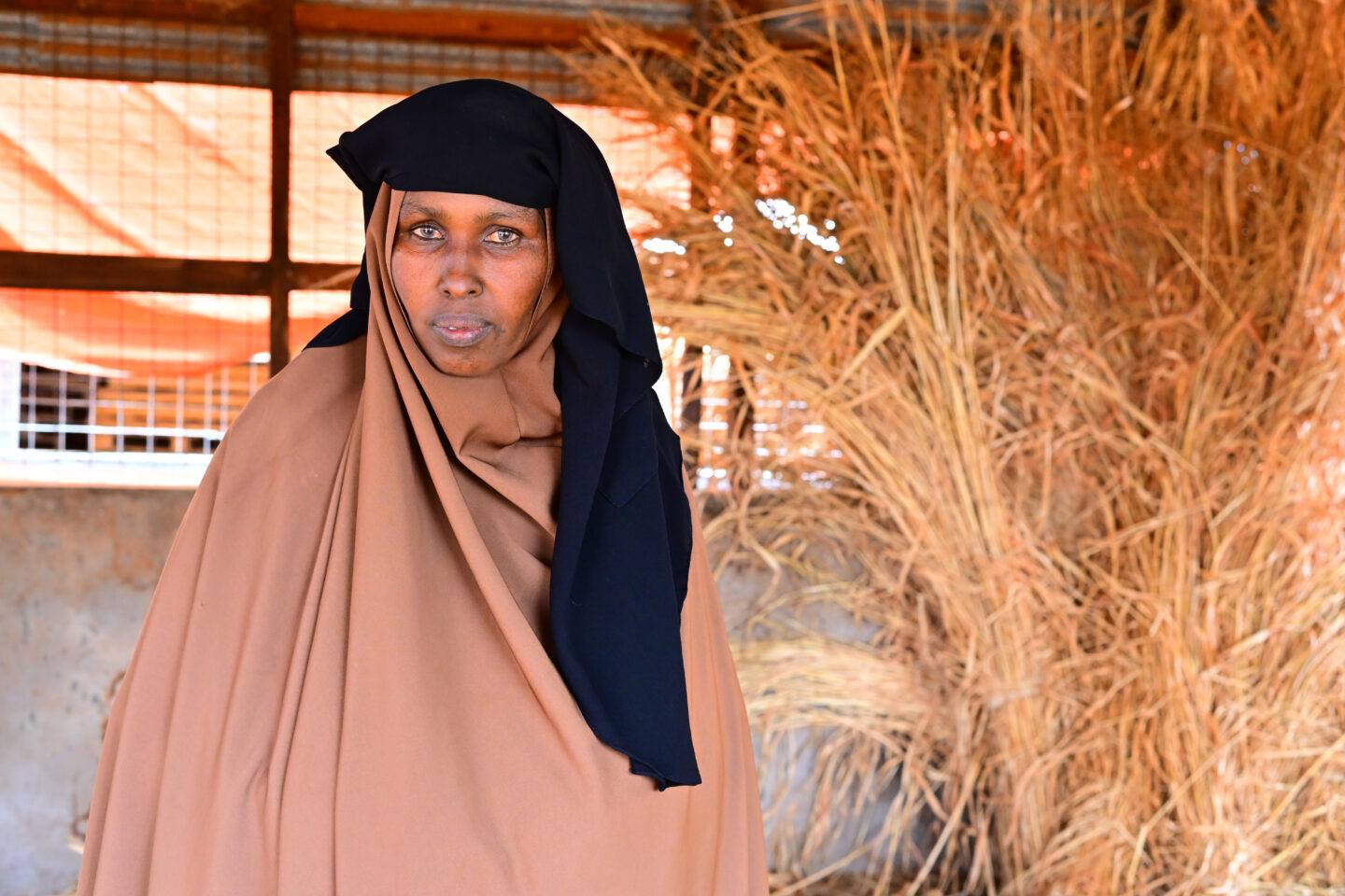 changement-climatique-femmes-monde