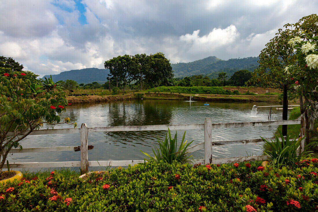 L'ONG CARE soutient les petits producteurs en Honduras pour faire reculer la faim.