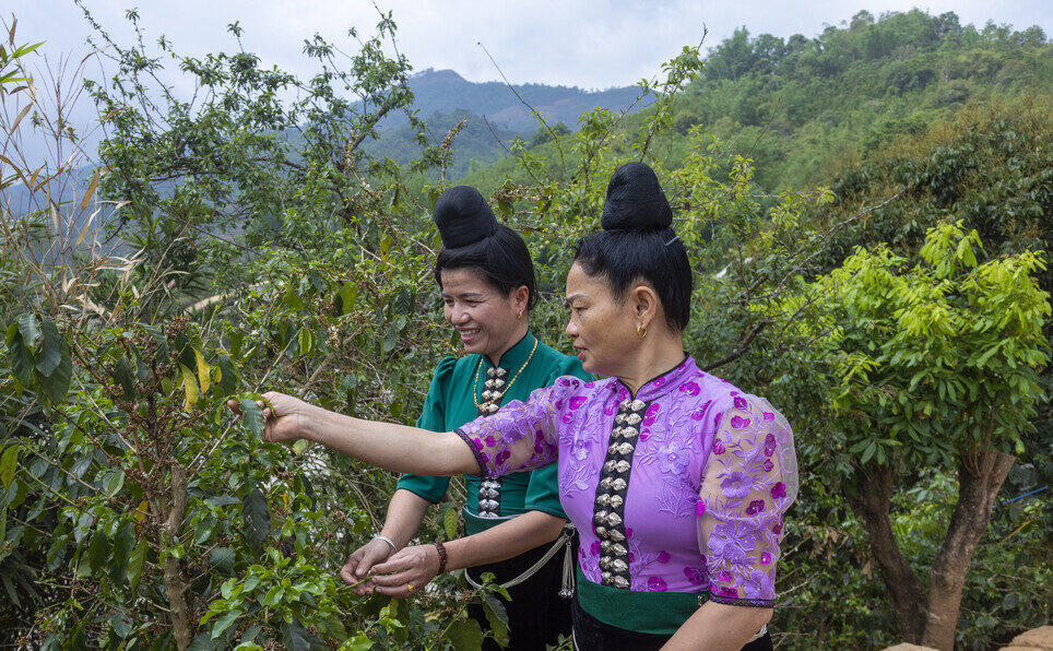 L'ONG CARE soutient l'indépendance économique des femmes au Vietnam.