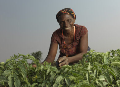 Une agricultrice dans un champ en Zambie