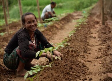 Une femme agricultrice dans son champ au Népal