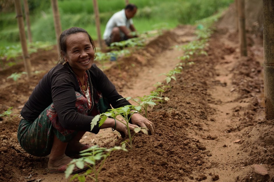 Une femme agricultrice dans son champ au Népal