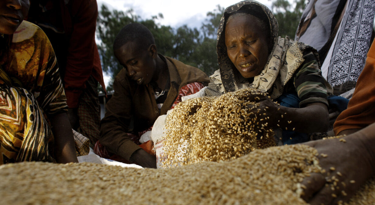 Une femme devant sa récolte en Afrique