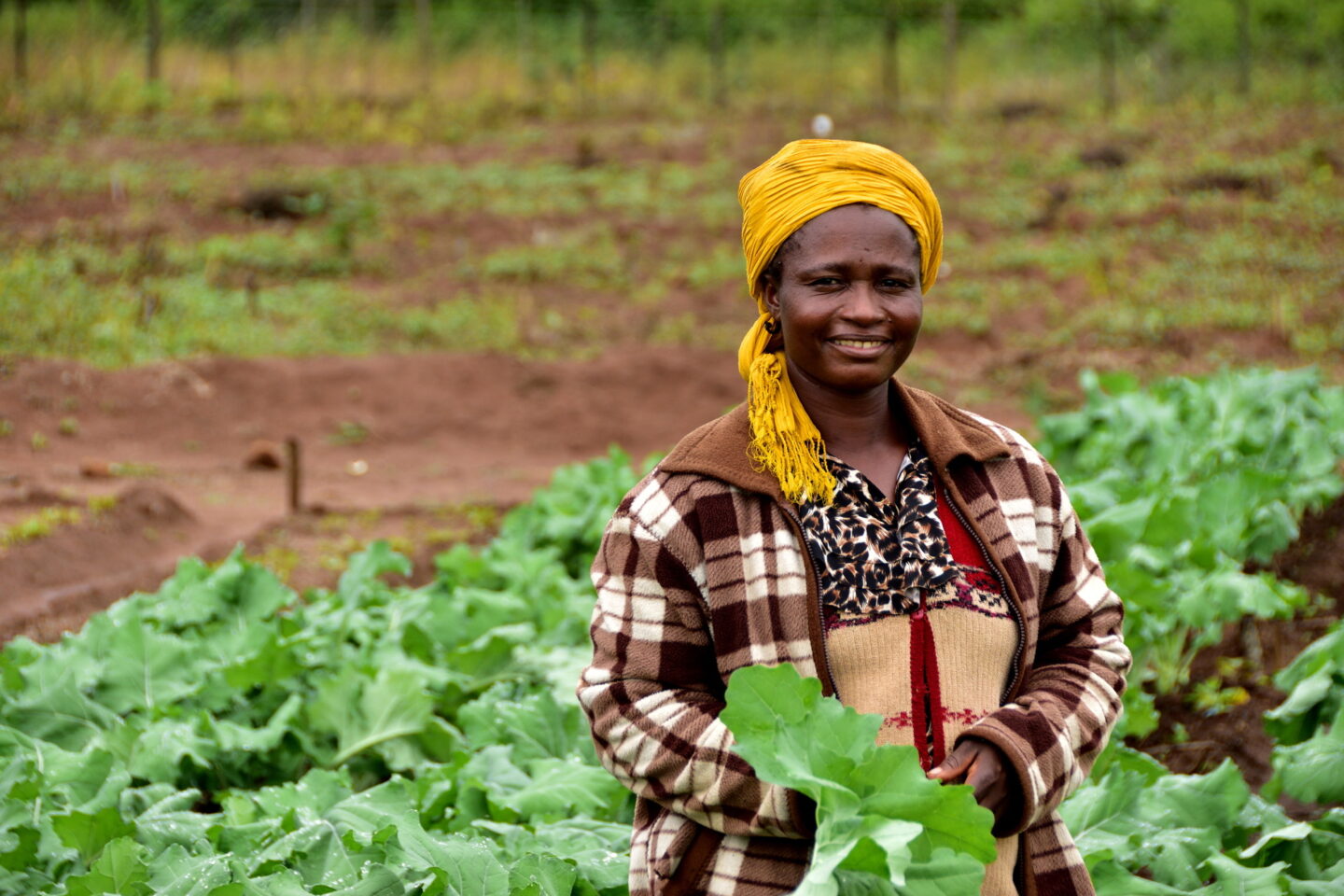 changement-climatique-cop29-afrique