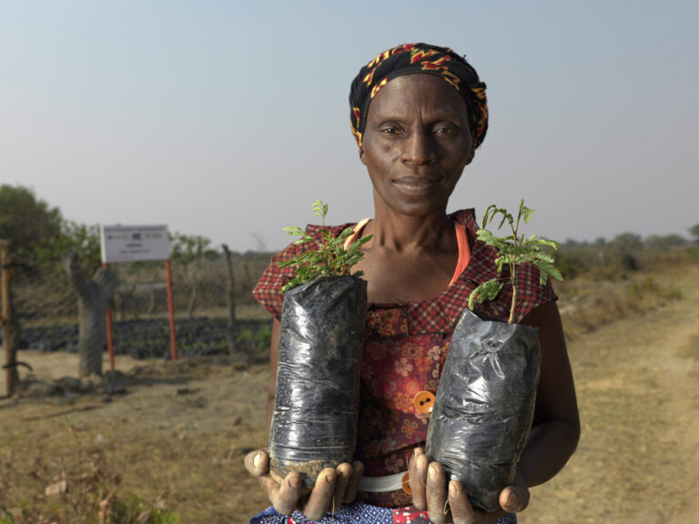 Une agricultrice tient ses plantations dans ses mains