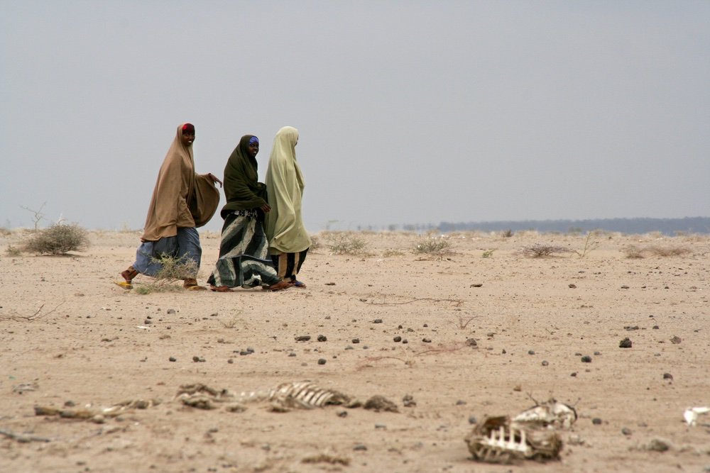 L'association CARE lutte contre le changement climatique