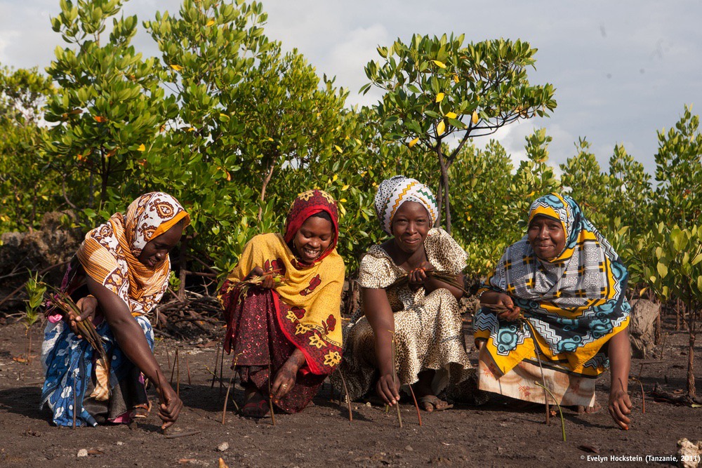 Tanzanie - développement durable et femmes