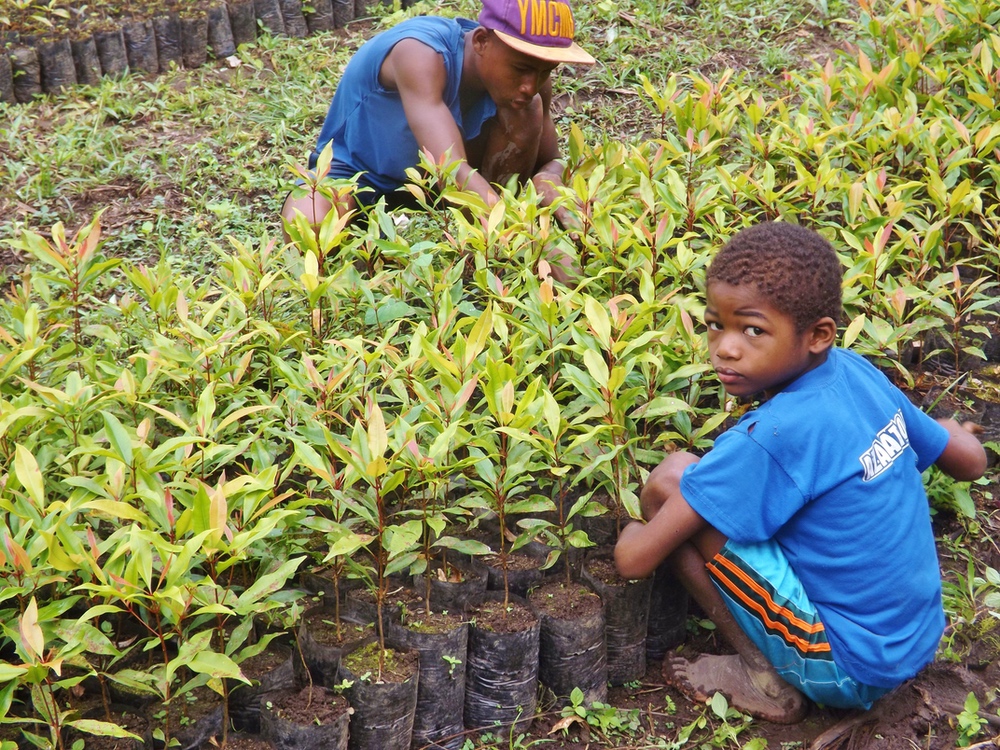 L'association CARE aide les populations à Madagascar