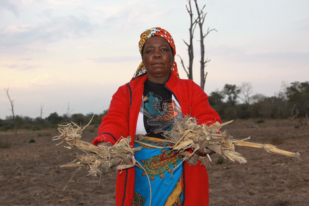 L'association CARE aide les victimes d'El Nino