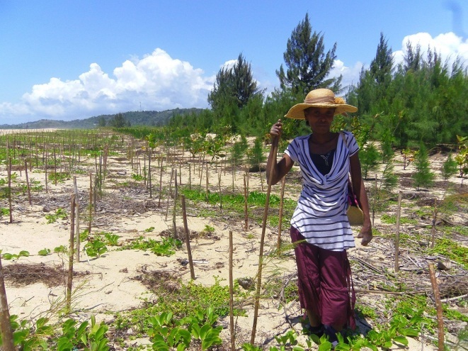 L'association humanitaire CARE aide les populations à s'adapter au changement climatique