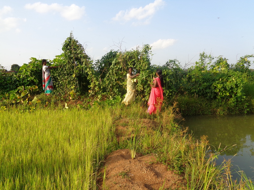 CARE, association humanitaire, aide les populations affectées par le changement climatique