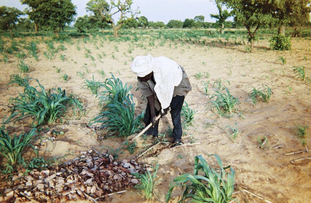 L'association humanitaire CARE lutte contre le changement climatique