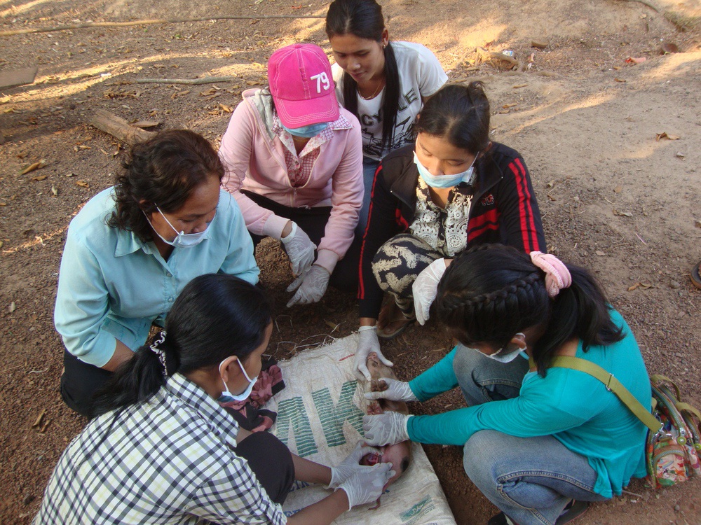 L'association humanitaire CARE soutient le développement économique des femmes