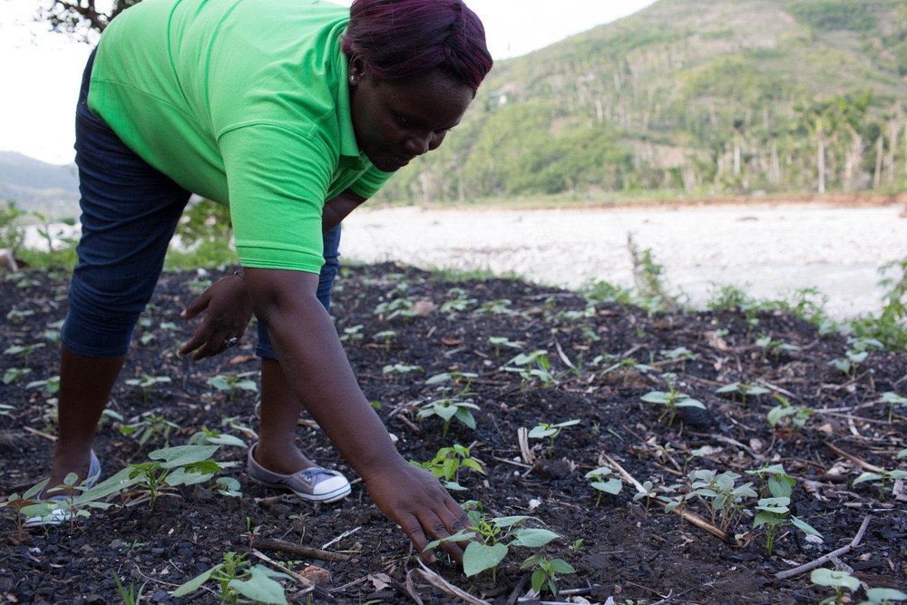 L'association CARE aide les populations à Haïti