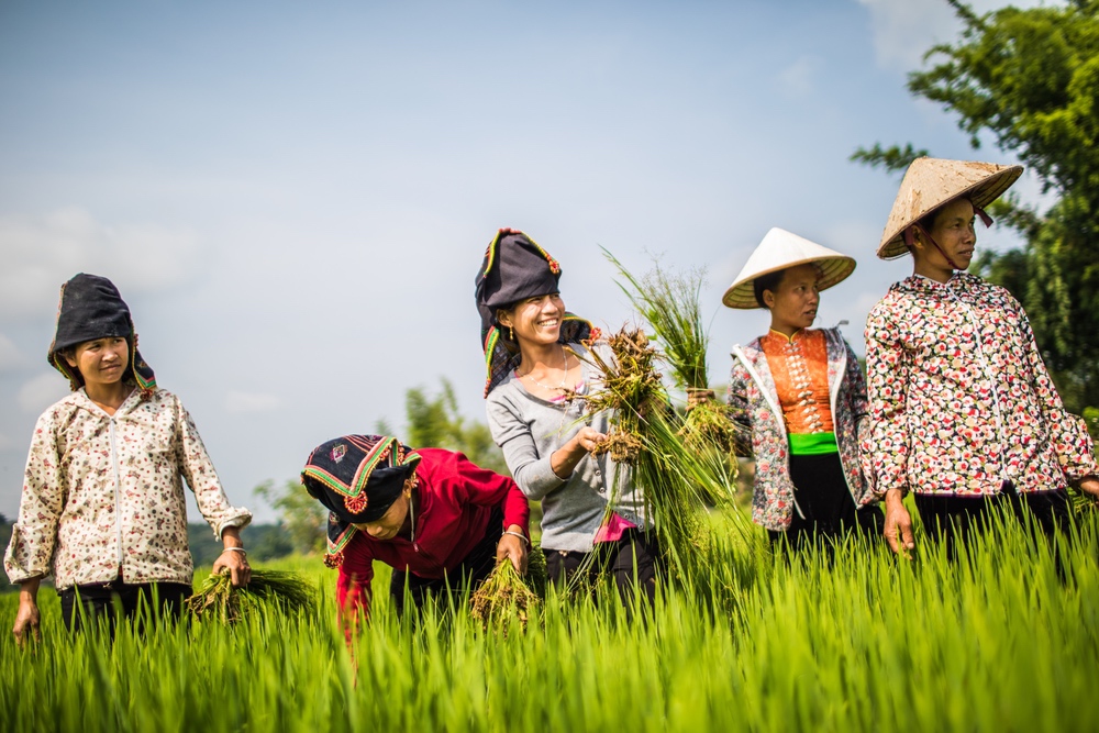 CARE agit pour défendre les droits des femmes et lutte contre le changement climatique