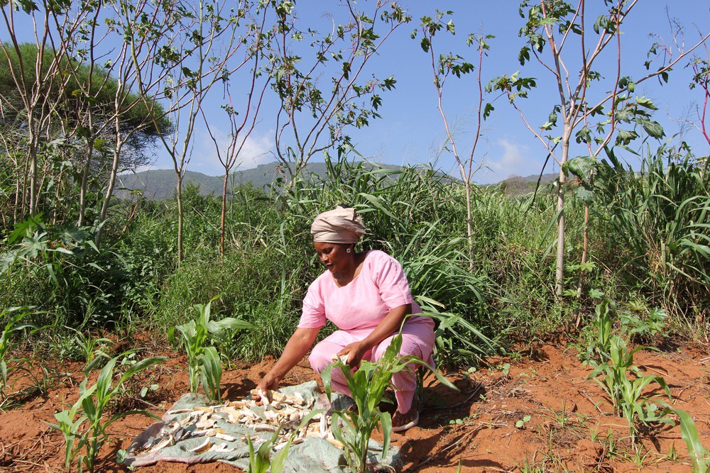 L'association CARE lutte contre le changement climatique