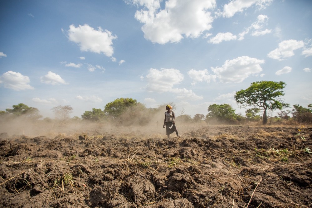 L'association CARE France lutte contre les impacts du changement climatique