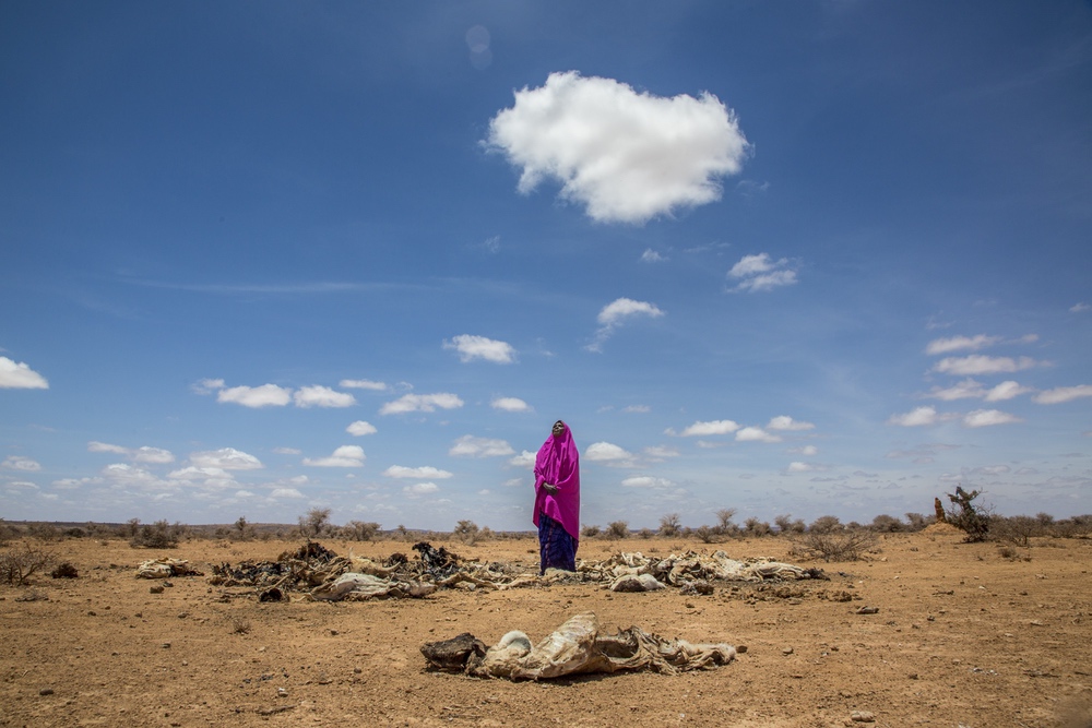 femme seule dans le desert