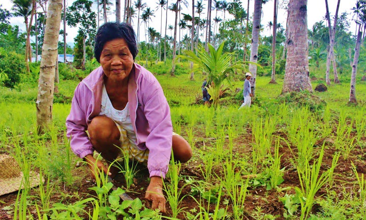 L'association CARE France participe aux efforts de reconstruction et de réhabilitation aux Philippines, deux ans après le typhon Haiyan