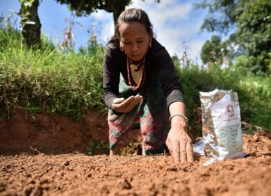 Agriculture sécurité alimentaire ONG CARE France