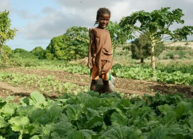 L’ONG CARE lutte contre le réchauffement climatique à Madagascar