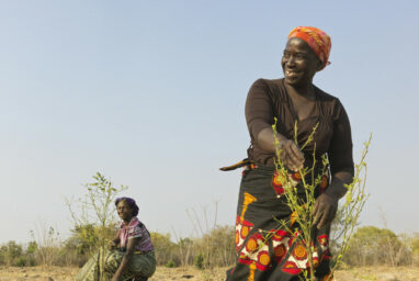Une agricultrice devant ses plantations en Zambie