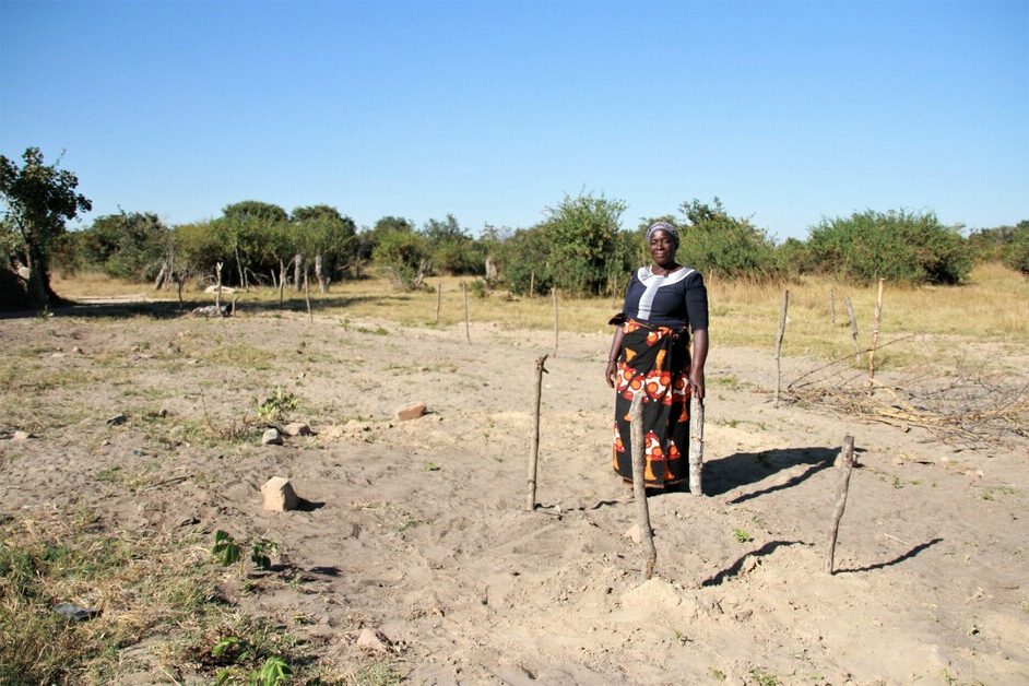 Une agricultrice devant ses plantations en Zambie