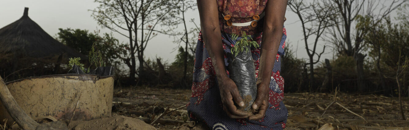 Une agricultrice tient des plantations dans ses mains en Afrique