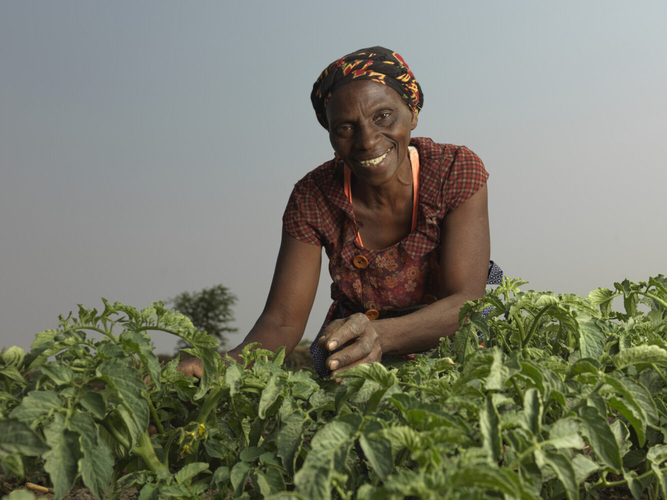 Une agricultrice dans un champ en Zambie